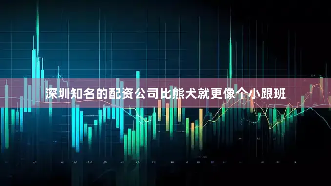 深圳知名的配资公司比熊犬就更像个小跟班