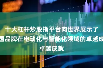 十大杠杆炒股指平台向世界展示了中国品牌在电动化与智能化领域的卓越成就