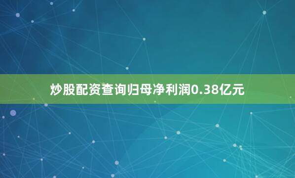 炒股配资查询归母净利润0.38亿元