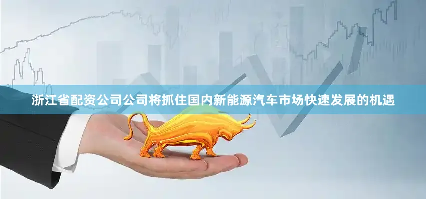 浙江省配资公司公司将抓住国内新能源汽车市场快速发展的机遇
