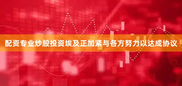 配资专业炒股投资埃及正加紧与各方努力以达成协议